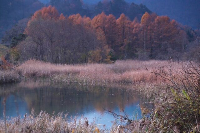朝の川景色 | カメラ散歩